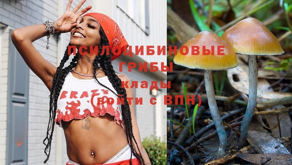 дурь Балахна