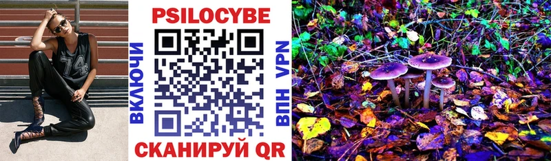 Псилоцибиновые грибы Cubensis Петушки